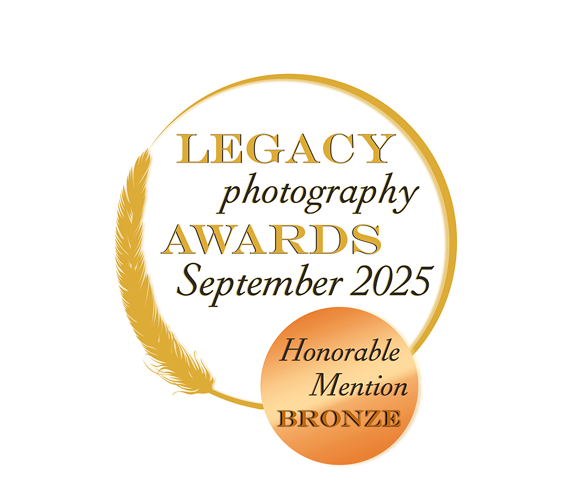 honorable mention bronze september 25